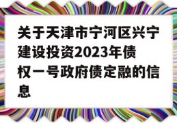 关于天津市宁河区兴宁建设投资2023年债权一号政府债定融的信息