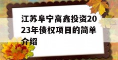 江苏阜宁高鑫投资2023年债权项目的简单介绍