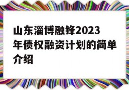 山东淄博融锋2023年债权融资计划的简单介绍