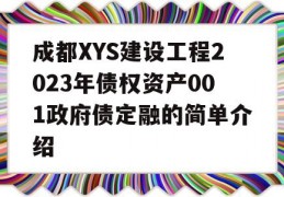 成都XYS建设工程2023年债权资产001政府债定融的简单介绍