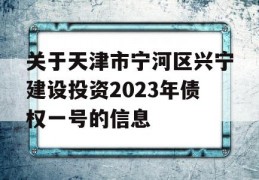 关于天津市宁河区兴宁建设投资2023年债权一号的信息