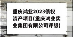 重庆鸿业2023债权资产项目(重庆鸿业实业集团有限公司评级)