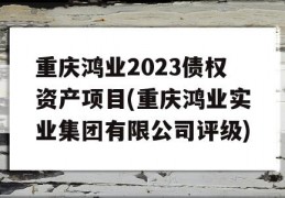 重庆鸿业2023债权资产项目(重庆鸿业实业集团有限公司评级)