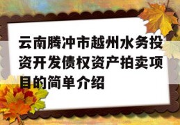 云南腾冲市越州水务投资开发债权资产拍卖项目的简单介绍