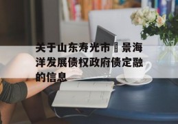 关于山东寿光市昇景海洋发展债权政府债定融的信息