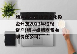 腾冲市盛源旅游文化投资开发2023年债权资产(腾冲盛腾商贸有限责任公司)