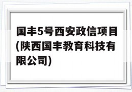 国丰5号西安政信项目(陕西国丰教育科技有限公司)