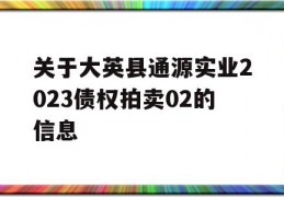 关于大英县通源实业2023债权拍卖02的信息