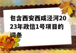 包含西安西咸泾河2023年政信1号项目的词条