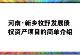 河南·新乡牧野发展债权资产项目的简单介绍