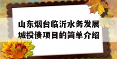 山东烟台临沂水务发展城投债项目的简单介绍