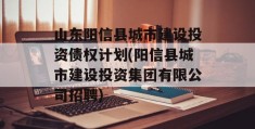 山东阳信县城市建设投资债权计划(阳信县城市建设投资集团有限公司招聘)