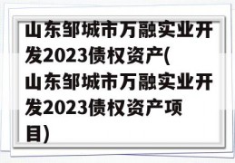 山东邹城市万融实业开发2023债权资产(山东邹城市万融实业开发2023债权资产项目)