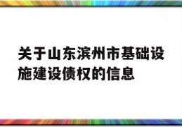 关于山东滨州市基础设施建设债权的信息