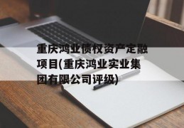 重庆鸿业债权资产定融项目(重庆鸿业实业集团有限公司评级)