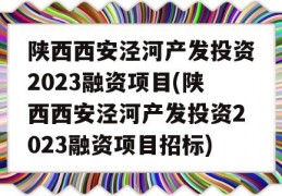 陕西西安泾河产发投资2023融资项目(陕西西安泾河产发投资2023融资项目招标)