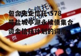 包含央企信托-578号盐城亭湖永续债集合资金信托计划的词条