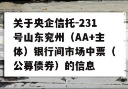 关于央企信托-231号山东兖州（AA+主体）银行间市场中票（公募债券）的信息