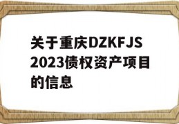 关于重庆DZKFJS2023债权资产项目的信息