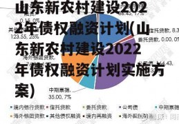 山东新农村建设2022年债权融资计划(山东新农村建设2022年债权融资计划实施方案)