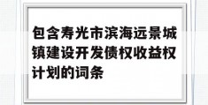 包含寿光市滨海远景城镇建设开发债权收益权计划的词条