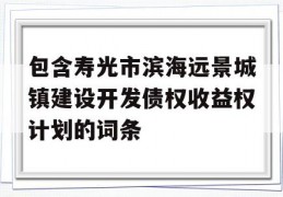 包含寿光市滨海远景城镇建设开发债权收益权计划的词条