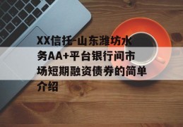 XX信托-山东潍坊水务AA+平台银行间市场短期融资债券的简单介绍