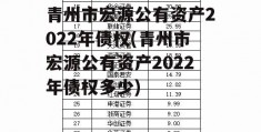 青州市宏源公有资产2022年债权(青州市宏源公有资产2022年债权多少)