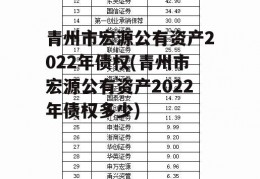 青州市宏源公有资产2022年债权(青州市宏源公有资产2022年债权多少)