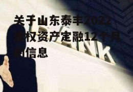 关于山东泰丰2022债权资产定融12个月的信息