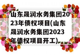 山东晟润水务集团2023年债权项目(山东晟润水务集团2023年债权项目开工)