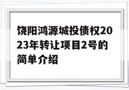 饶阳鸿源城投债权2023年转让项目2号的简单介绍