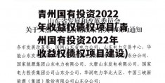 青州国有投资2022年收益权债权项目(青州国有投资2022年收益权债权项目建设)