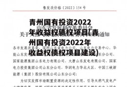 青州国有投资2022年收益权债权项目(青州国有投资2022年收益权债权项目建设)