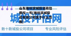 山东潍坊滨城投资政信债权一号(潍坊滨城投资有限公司属于什么性质)