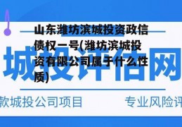 山东潍坊滨城投资政信债权一号(潍坊滨城投资有限公司属于什么性质)