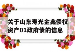 关于山东寿光金鑫债权资产01政府债的信息