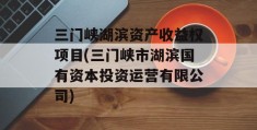 三门峡湖滨资产收益权项目(三门峡市湖滨国有资本投资运营有限公司)