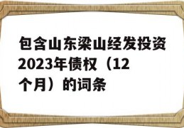 包含山东梁山经发投资2023年债权（12个月）的词条