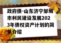 政府债-山东济宁邹城市利民建设发展2023年债权资产计划的简单介绍