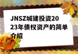 JNSZ城建投资2023年债权资产的简单介绍