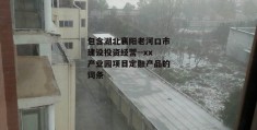 包含湖北襄阳老河口市建设投资经营--xx产业园项目定融产品的词条