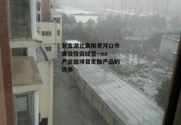 包含湖北襄阳老河口市建设投资经营--xx产业园项目定融产品的词条