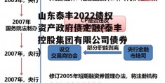 山东泰丰2022债权资产政府债定融(泰丰控股集团有限公司债券)