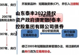 山东泰丰2022债权资产政府债定融(泰丰控股集团有限公司债券)