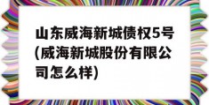 山东威海新城债权5号(威海新城股份有限公司怎么样)