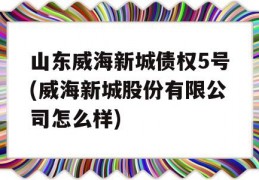 山东威海新城债权5号(威海新城股份有限公司怎么样)