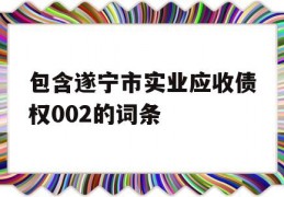 包含遂宁市实业应收债权002的词条