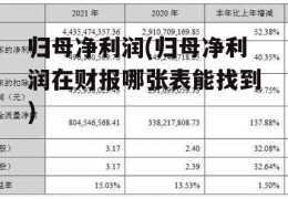 归母净利润(归母净利润在财报哪张表能找到)