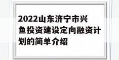 2022山东济宁市兴鱼投资建设定向融资计划的简单介绍